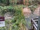Italia Nostra Bra: “Alberi a rischio a Villa Augusta dopo il temporale” Italia Nostra Bra: “Alberi a rischio a Villa Augusta dopo il temporale”