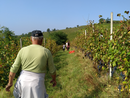 Controlli estivi nel settore agricolo: irregolare il 69% delle 155 aziende ispezionate in provincia