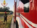 Alberi e pali pericolanti per il forte vento in diverse zone della provincia. Numerosi gli interventi dei Vigili del Fuoco Alberi e pali pericolanti per il forte vento in diverse zone della provincia. Numerosi gli interventi dei Vigili del Fuoco