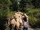 Per il Cuneo Montagna Festival in Municipio si presenta "La Routo"