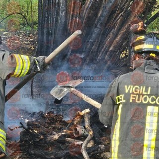 Immagine di repertorio