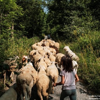 Per il Cuneo Montagna Festival in Municipio si presenta "La Routo"