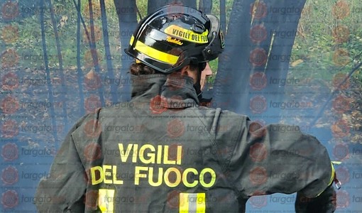 Immagine di repertorio