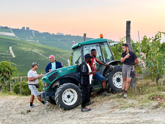 Coldiretti Cuneo: "Il buon vino comincia dal buon lavoro"