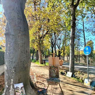 Cuneo, viale degli Angeli 'studio all'aria aperta' per pittori e illustratori