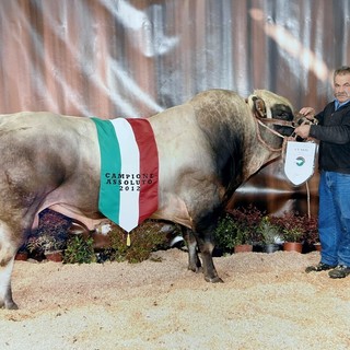 "Addio all'uomo del formaggio": Limonetto saluta Luciano Viale