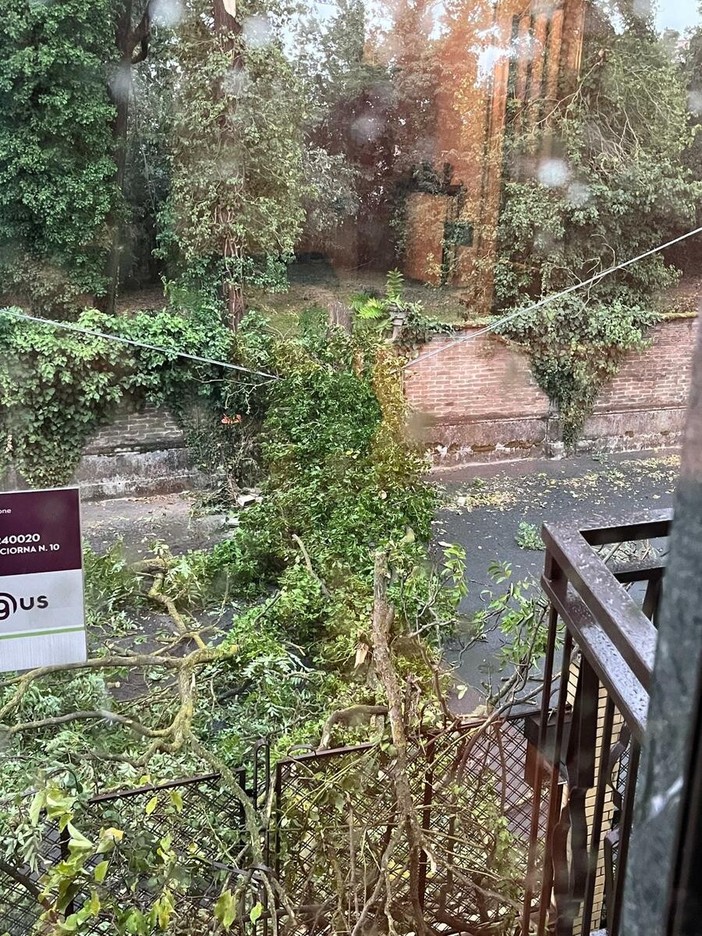 Italia Nostra Bra: “Alberi a rischio a Villa Augusta dopo il temporale” Italia Nostra Bra: “Alberi a rischio a Villa Augusta dopo il temporale”