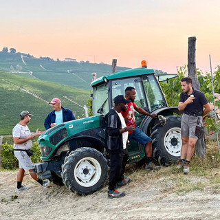 Coldiretti Cuneo: "Il buon vino comincia dal buon lavoro" Coldiretti Cuneo: "Il buon vino comincia dal buon lavoro"