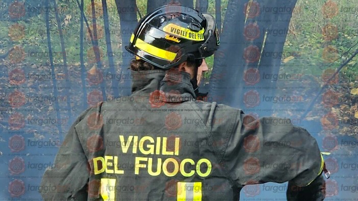 immagine archivio immagine archivio