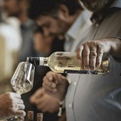 Roero Docg, il punto del Consorzio sul mercato: "Tenuta delle vendite e nuove sfide globali pur nell'incertezza"