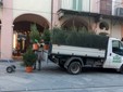 La consegna degli alberi in corso Italia