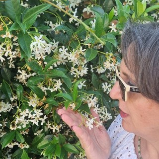 Profumo d’estate con la fragranza inebriante e seducente del gelsomino