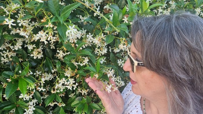 Profumo d’estate con la fragranza inebriante e seducente del gelsomino Profumo d’estate con la fragranza inebriante e seducente del gelsomino