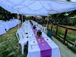 Busca, rifugio canile Casa di Freddy: cene vegane Busca, rifugio canile Casa di Freddy: cene vegane