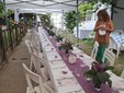 Busca, rifugio canile Casa di Freddy: cene vegane Busca, rifugio canile Casa di Freddy: cene vegane