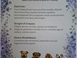 Busca, rifugio canile Casa di Freddy: cene vegane Busca, rifugio canile Casa di Freddy: cene vegane