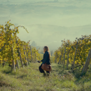 Cinema tra i Cortili: &quot;Trifole&quot; illumina via Cottolengo