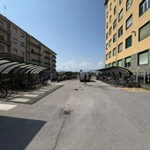 Furti di biciclette all’ospedale di Cuneo, la rabbia di un dipendente: “Segnalazioni ignorate e una realtà che resta senza soluzione” Furti di biciclette all’ospedale di Cuneo, la rabbia di un dipendente: “Segnalazioni ignorate e una realtà che resta senza soluzione”