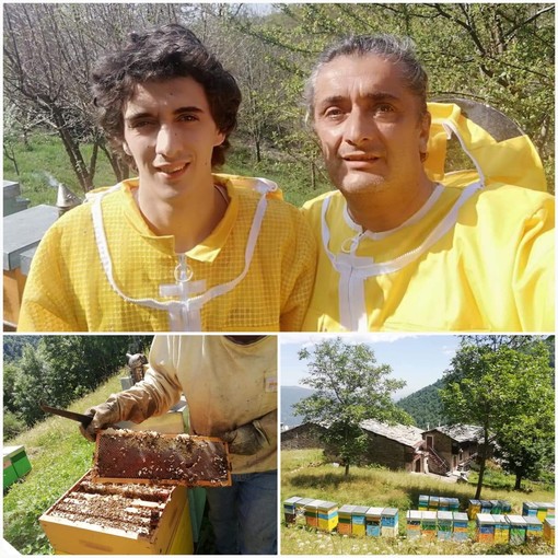 Bra, il miele millefiori dei Terrapini tra i migliori d’Italia per l’anno 2020