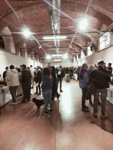 Svitati, edizione 2024 Svitati, edizione 2024