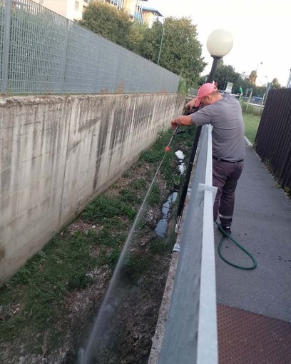 Zanzare ad Alba, nuovi trattamenti il 9 e 10 settembre: sotto controllo anche rii e ristagni Zanzare ad Alba, nuovi trattamenti il 9 e 10 settembre: sotto controllo anche rii e ristagni