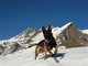 Zen Pastore Belga delle unità cinofile del Soccorso Alpino "Moniso" Zen Pastore Belga delle unità cinofile del Soccorso Alpino "Moniso"