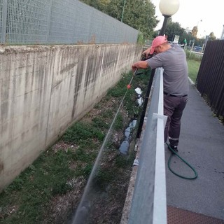 Zanzare ad Alba, nuovi trattamenti il 9 e 10 settembre: sotto controllo anche rii e ristagni
