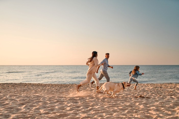 Viaggiare con gli animali domestici in Europa: come orientarsi tra le nuove norme e garantire il benessere degli animali