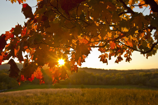 METEO / L'autunno può attendere: settimana di sole e temperature in rialzo METEO / L'autunno può attendere: settimana di sole e temperature in rialzo