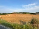 Settimana di tregua dal caldo: minime in calo fino a 10 gradi percepiti Settimana di tregua dal caldo: minime in calo fino a 10 gradi percepiti