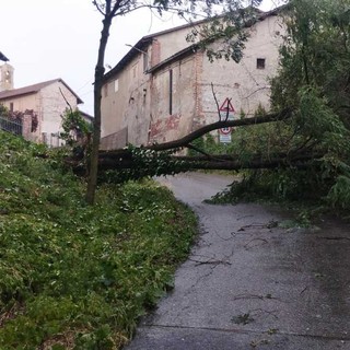 MALTEMPO / Forti raffiche di vento, alberi caduti e grandine dal Saluzzese al Braidese MALTEMPO / Forti raffiche di vento, alberi caduti e grandine dal Saluzzese al Braidese