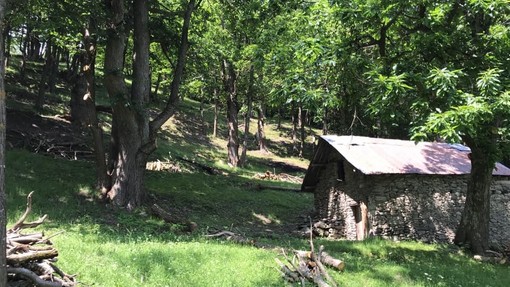 A Mondovì l'evento "Di monti e castanicoltori" con il Comizio Agrario A Mondovì l'evento "Di monti e castanicoltori" con il Comizio Agrario