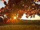 METEO / Meteo nel Cuneese, weekend con sole e clima mite: temperature fino a 27-28 gradi METEO / Meteo nel Cuneese, weekend con sole e clima mite: temperature fino a 27-28 gradi