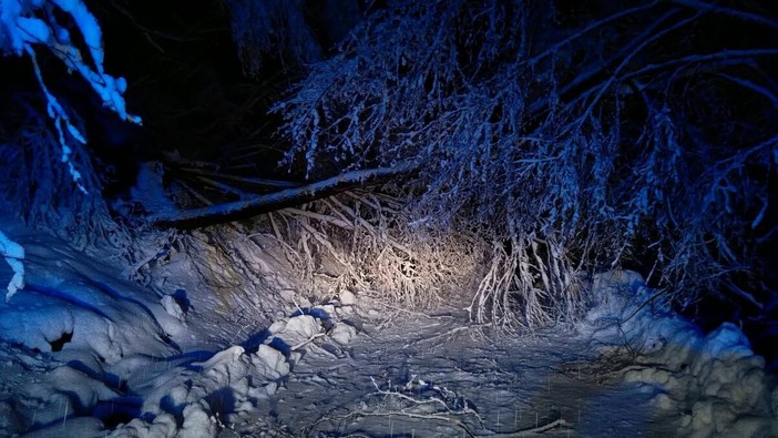 Alberi caduti per neve, con la fine dell'emergenza l'Amministrazione comunale di Peveragno ringrazia i tecnici intervenuti Alberi caduti per neve, con la fine dell'emergenza l'Amministrazione comunale di Peveragno ringrazia i tecnici intervenuti