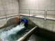 Acqua, Coldiretti Cuneo: basta retorica dell'emergenza Acqua, Coldiretti Cuneo: basta retorica dell'emergenza