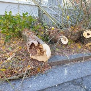 Cuneo, l'Amministrazione comunale fa il punto sui lavori in piazza Cottolengo Cuneo, l'Amministrazione comunale fa il punto sui lavori in piazza Cottolengo