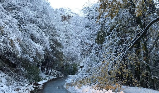 Immagine di repertorio