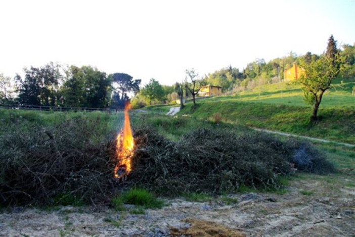 Abbruciamenti a Bernezzo, la Polizia Locale: “Sul posto in 20 minuti, ma niente fuoco né fumo” Abbruciamenti a Bernezzo, la Polizia Locale: “Sul posto in 20 minuti, ma niente fuoco né fumo”