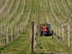 Agricoltura e sfruttamento del lavoro, le problematiche presentate dalle associazioni di categorie
