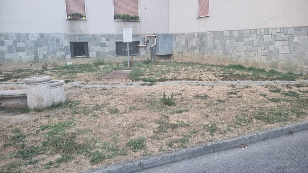 Bra, meno alberi nella via dedicata ad Aldo Moro e l'oasi che non c'è più Bra, meno alberi nella via dedicata ad Aldo Moro e l'oasi che non c'è più