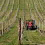 Agricoltura e sfruttamento del lavoro, le problematiche presentate dalle associazioni di categorie