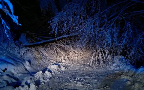 Alberi caduti per neve, con la fine dell'emergenza l'Amministrazione comunale di Peveragno ringrazia i tecnici intervenuti