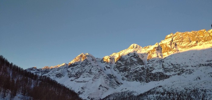 Foto di Cynthia Burzi