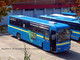 Autolinee Bus Company