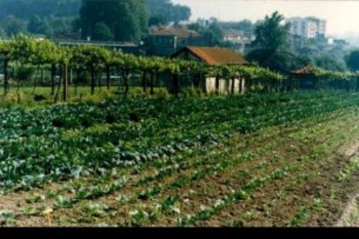 Agricoltura, al via in provincia di Cuneo il “Progetto UniCredit Mipaaf Coltivare il futuro”