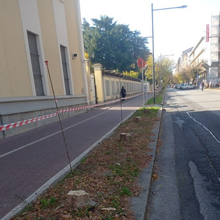 La situazione in via Carlo Boggio a seguito dell'abbattimento degli alberi