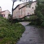 MALTEMPO / Forti raffiche di vento, alberi caduti e grandine dal Saluzzese al Braidese