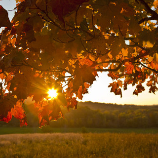 METEO / Meteo nel Cuneese, weekend con sole e clima mite: temperature fino a 27-28 gradi METEO / Meteo nel Cuneese, weekend con sole e clima mite: temperature fino a 27-28 gradi
