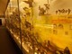 “Famiglie al Museo”, caccia al tesoro nelle sale del Museo Eusebio di Alba