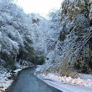 Immagine di archivio